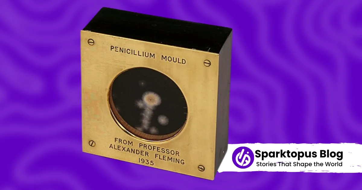 Penicillin (discovered 1928) - top 10 most important inventions in history that changed the world.