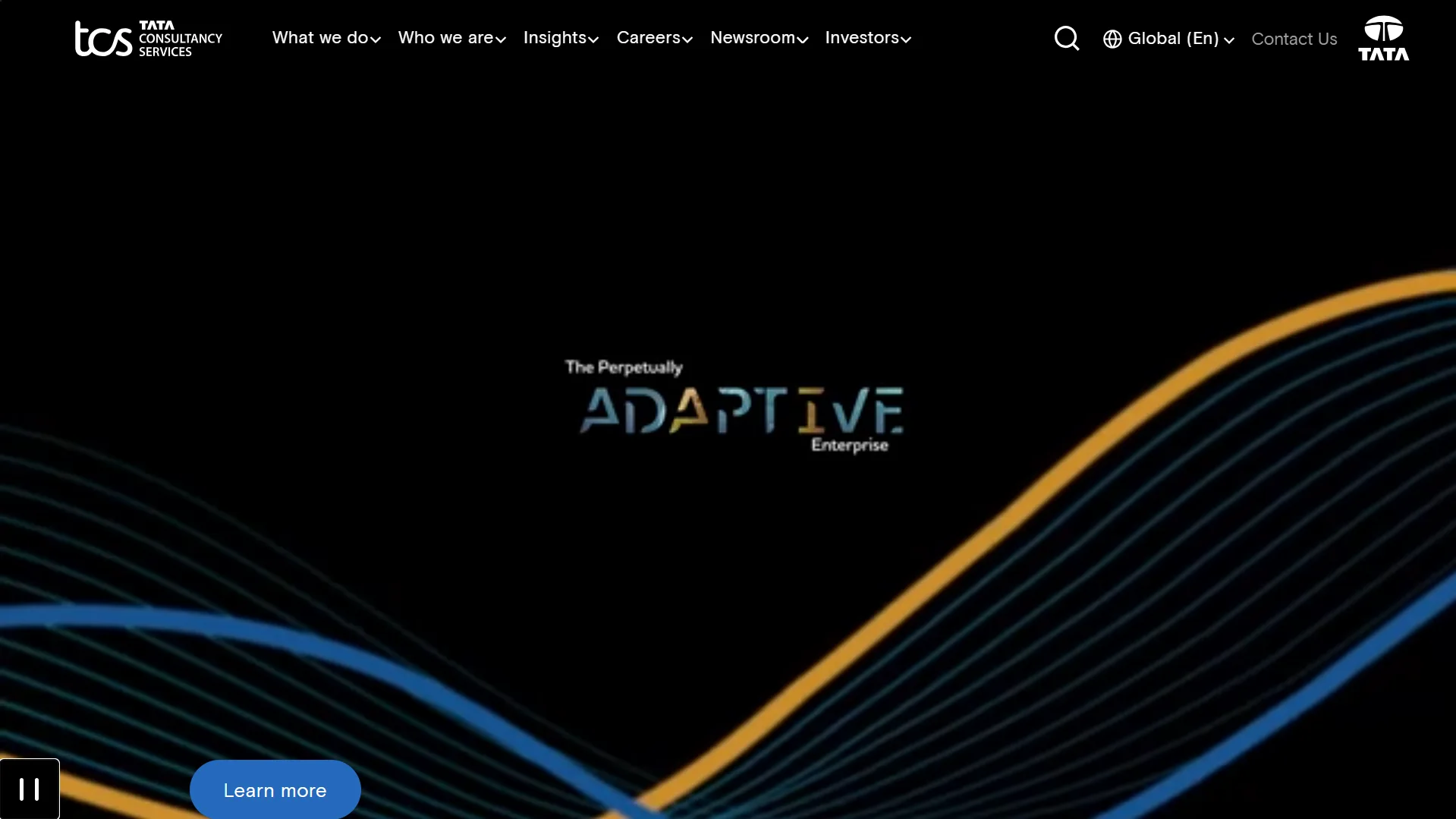 TCS (Tata Consultancy Services) — Engineering the Future