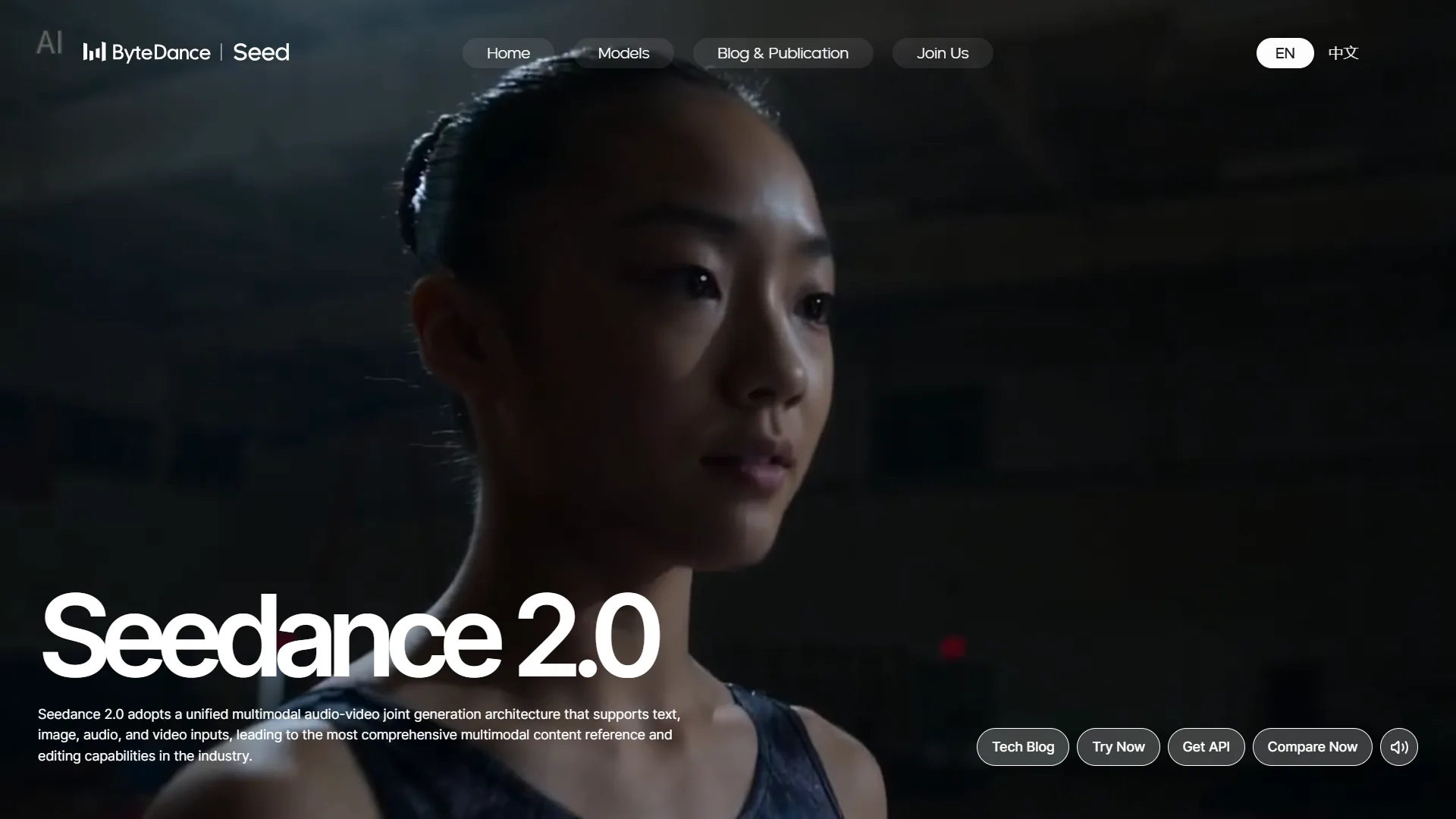 Seedance by ByteDance