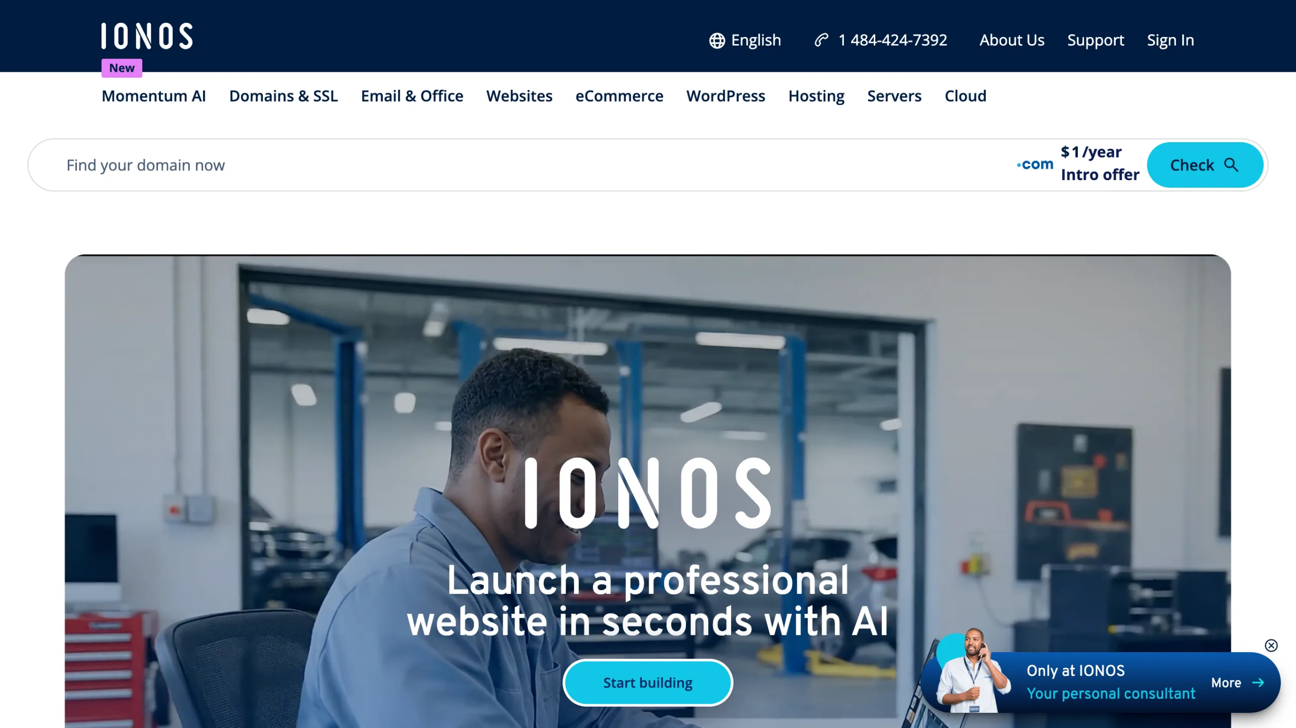 IONOS